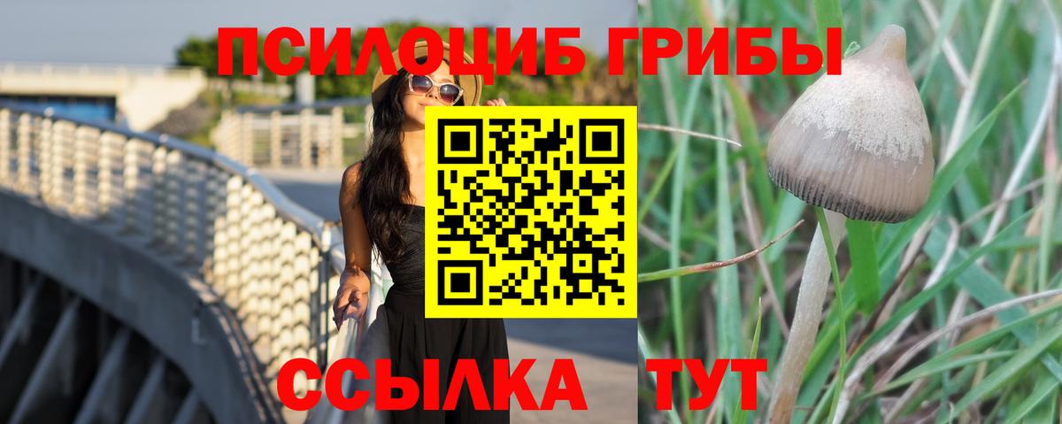 Галлюциногенные грибы Cubensis Родники